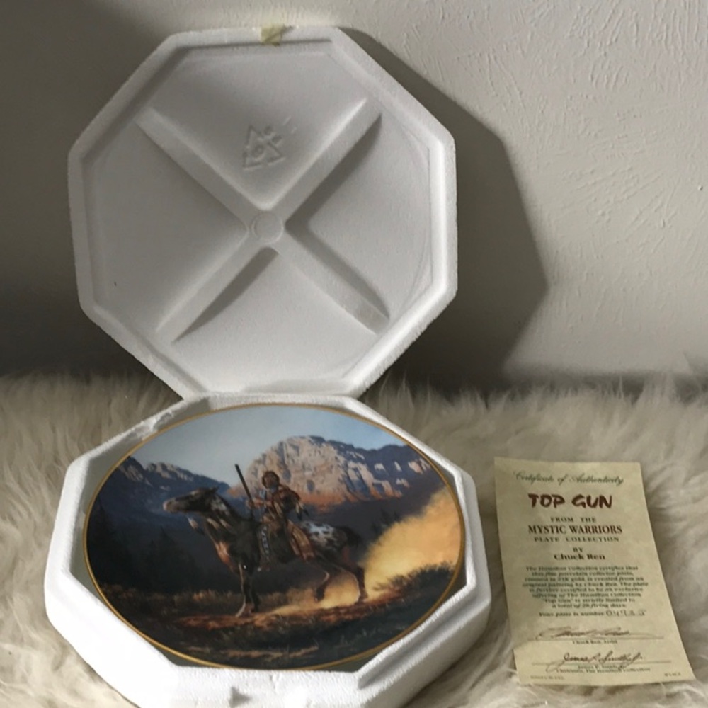 NEW 1992 The Hamilton Collection Mystic Warrior Top Gun plate COA numbered mint